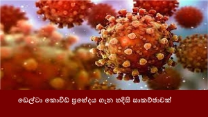 ඩෙල්ටා කොවිඩ් ප්‍රභේදය ගැන හදිසි සාකච්ඡාවක්