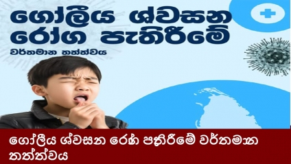 ගෝලීය ශ්වසන රෝග පැතිරීමේ වර්තමාන තත්ත්වය