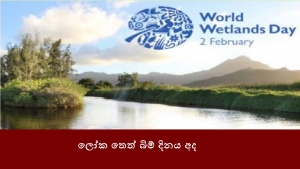 ලෝක තෙත් බිම් දිනය අද