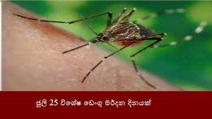 ජුලි 25 විශේෂ ඩෙංගු මර්දන දිනයක්