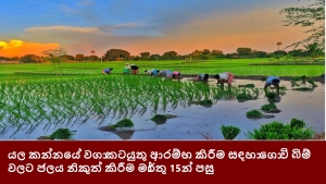 යල කන්නයේ වගා කටයුතු ආරම්භ කිරීම සඳහා ගොවි බිම් වලට ජලය නිකුත් කිරීම මාර්තු 15න් පසු