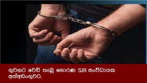 ගුවනට වෙඩි තැබූ හොරණ SJB සංවිධායක අත්අඩංගුවට.