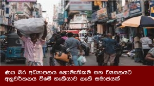 ණය බර අධ්‍යාපනය නොමැතිකම සහ ව්‍යසනයට අනුවර්තනය වීමේ හැකියාව නැති සමාජයක්