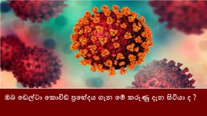 ඔබ ඩෙල්ටා කොවිඩ් ප්‍රභේදය ගැන මේ කරුණු දැන සිටියා ද ?