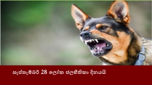 සැප්තැම්බර් 28 ලෝක ජලභීතිකා දිනයයි