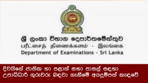 දිවයිනේ ජාතික හා පළාත් සභා පාසල් සඳහා උපාධිධාරී ගුරුවරු බඳවා ගැනීමේ අයදුම්පත් කැඳවේ