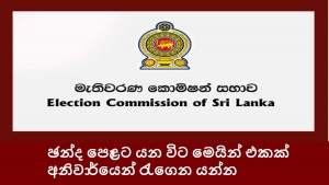 ඡන්ද පොළට යන විට මෙයින් එකක් අනිවාර්යෙන් රැගෙන යන්න