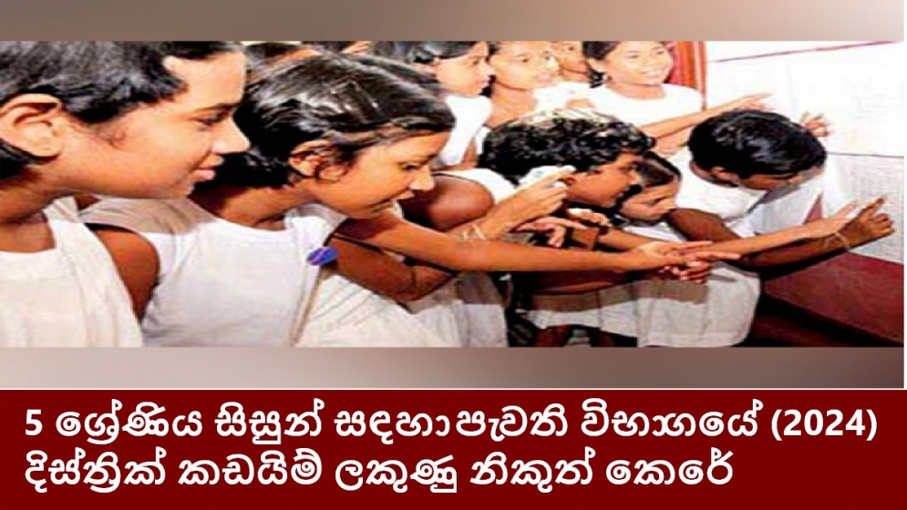 5 ශ්‍රේණිය සිසුන් සඳහා පැවති විභාගයේ (2024) දිස්ත්‍රික් කඩයිම් ලකුණු නිකුත් කෙරේ