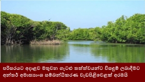 පරිසරයට අදාළව මතුවන ගැටළු තත්ත්වයන්ට විසඳුම් ලබාදීමට අන්තර් අමාත්‍යාංශ සම්බන්ධීකරණ වැඩපිළිවෙළක් අරඹයි