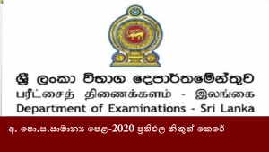 අ. පො.ස.සාමාන්‍ය පෙළ-2020 ප්‍රතිඵල නිකුත් කෙරේ