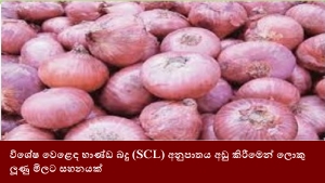 විශේෂ වෙළෙඳ භාණ්ඩ බදු (SCL) අනුපාතය අඩු කිරීමෙන් ලොකු ලූණු මිලට සහනයක්