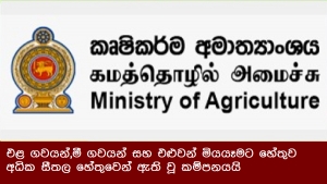 එළ ගවයන්,මී ගවයන් සහ එළුවන් මියයෑමට හේතුව අධික සීතල හේතුවෙන් ඇති වූ කම්පනයයි