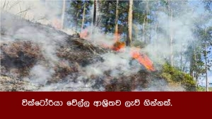 වික්ටෝරියා වේල්ල ආශ්‍රිතව ලැව් ගින්නක්.